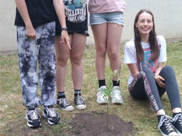 Inauguracja projektu Owocowe łódzkie w Łodzi 2.06.2023 r., 